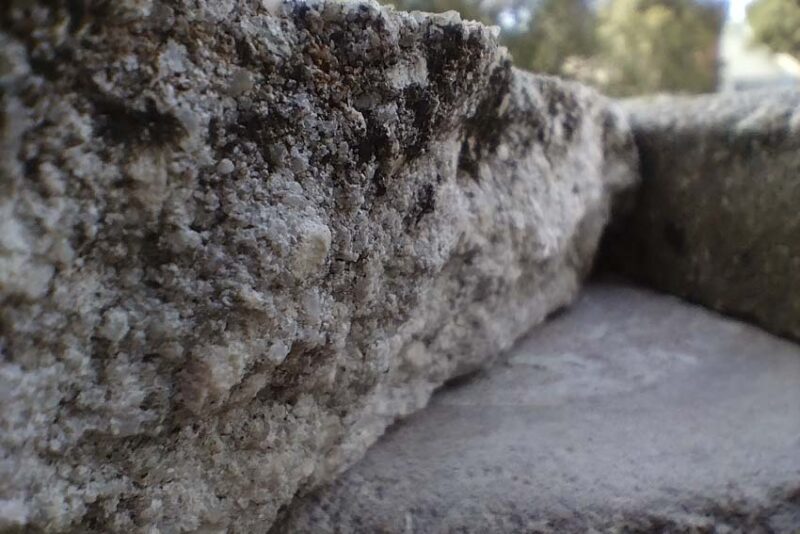 Macro Shot
