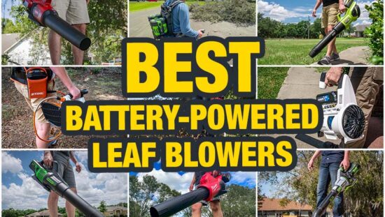 Best Cordless Leaf Blower Reviews