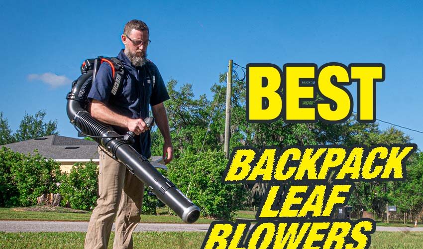 Best Backpack Leaf Blower Reviews