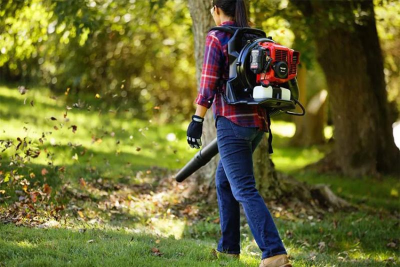 Troy-Bilt TB15BP